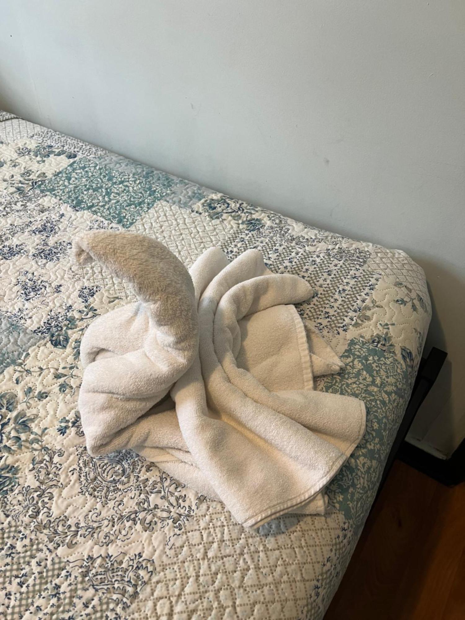 פואנטה ארנס Hostal Victoria מראה חיצוני תמונה