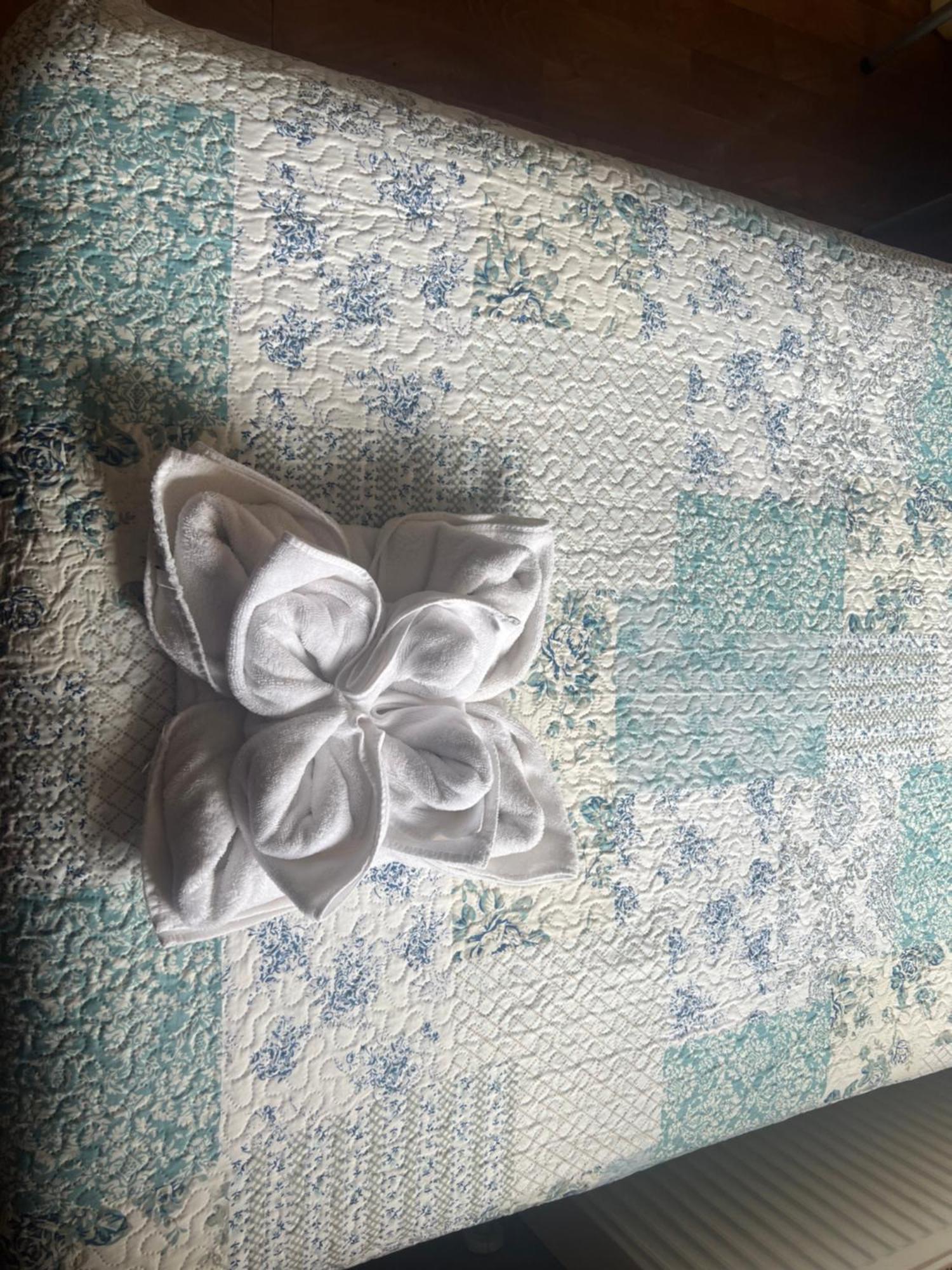 פואנטה ארנס Hostal Victoria מראה חיצוני תמונה
